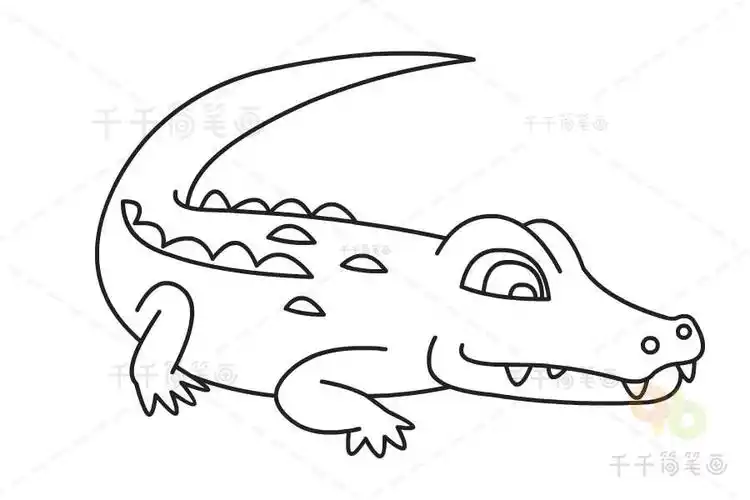 教你一步一步画鳄鱼简笔画