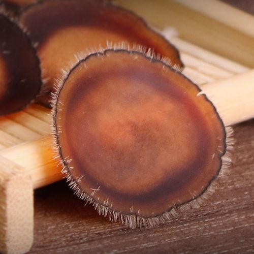 10克礼盒全蜡片头茬鹿茸蜡片含血足吉林长白山整枝切干片煲汤泡酒