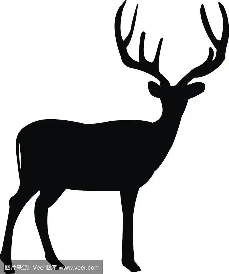 鹿,剪影,雄鹿,宠物,自然