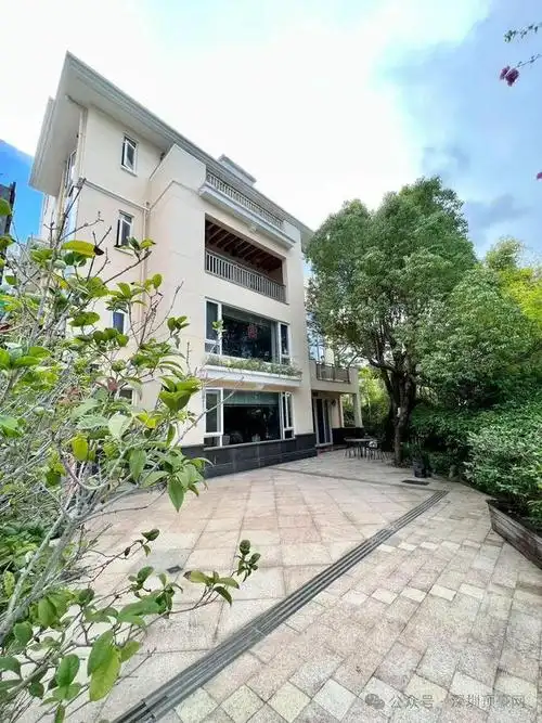 半山海景别墅-深圳独栋别墅天花板,视野开阔,观蛇口景大南山景