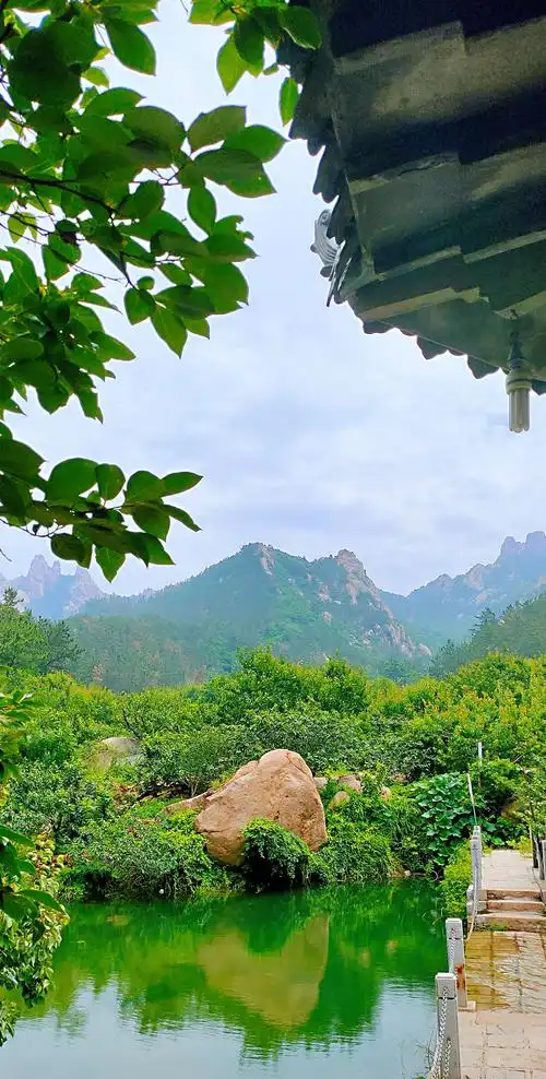 城阳区少山一日游掠影——君朋视觉手机摄影.2020.6.30