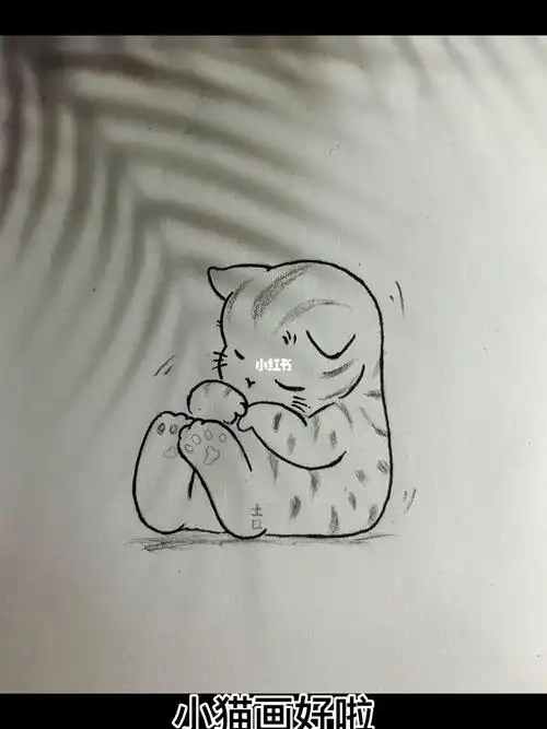 小猫简笔画