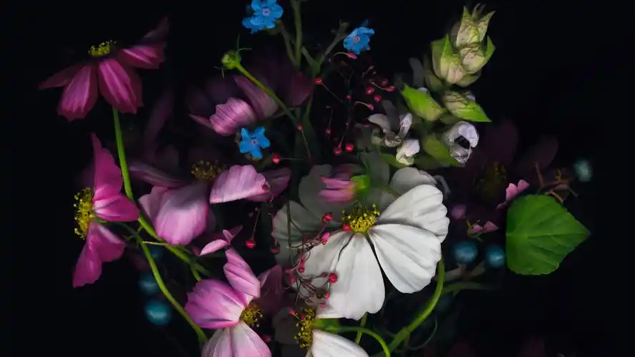 ad15-wallpaper-apple-ios8-iphone6-flower