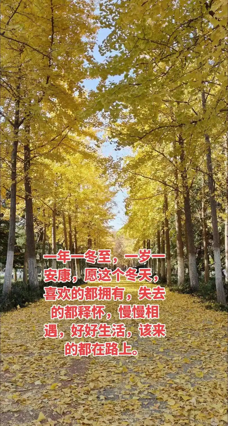 岁月催人老人生如过客 - 抖音