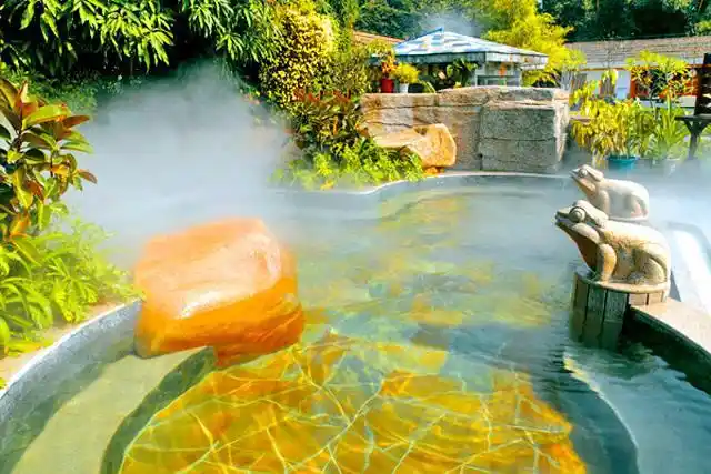 广州增城碧桂园金叶子温泉度假酒店 温泉门票 即买即用,马蜂窝自由行