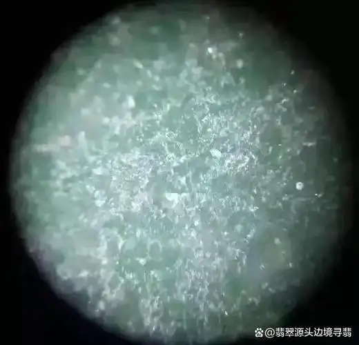 揭秘翡翠苍蝇翅