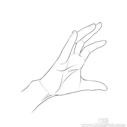 新手练习线稿张开手掌全角度38p