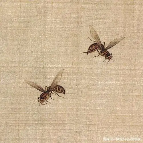 杨秀华国画网络课第十一节《蜜蜂的画法》 写美篇杨秀华 中国工笔画