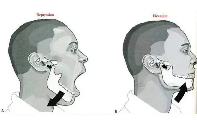 牙关节弹响!你可能患有颞下颌关节疾病-医影云