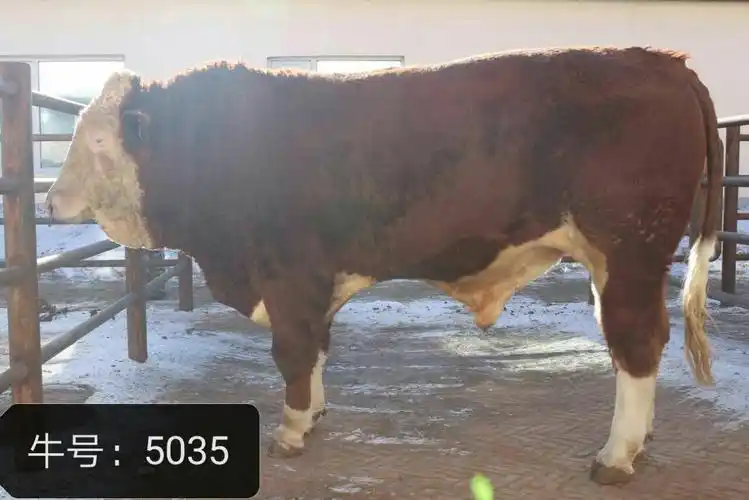 长春新牧有限公司