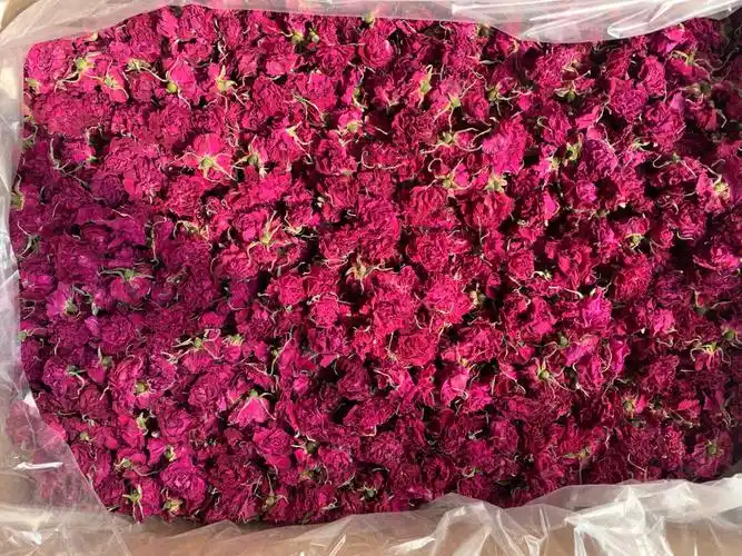 马上五月花期了,新花就要上市了,冷库里还有不少玫瑰干花茶,一斤也是