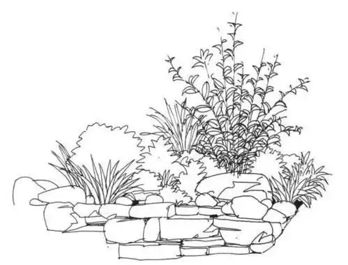 灌木丛可爱图简笔画