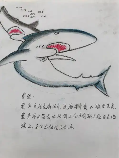 凶猛的大鲨鱼