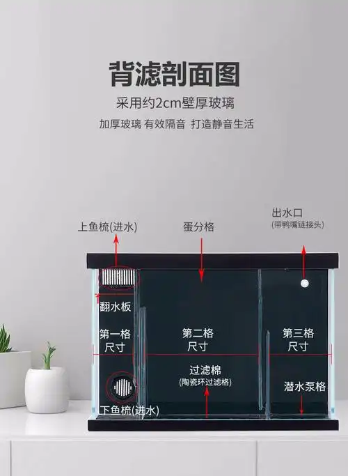 金晶超白玻璃背滤侧滤鱼缸小型海水缸懒人免换水生态鱼缸水族箱新