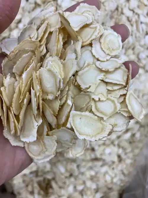 今天公布货源 大量 西洋参片 小片,0.6片,0.8片,1.0片