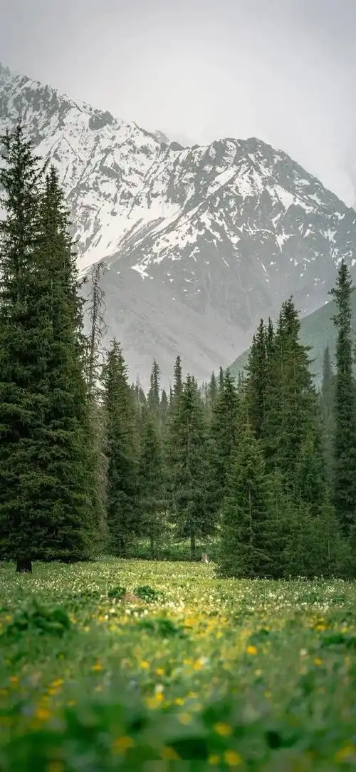 壁纸:高级感ins风手机全屏壁纸_腾讯新闻