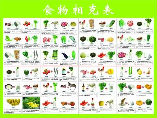 把"食物相克表"贴在墙上,在爸妈的朋友圈里可是异常火爆,这些个知识点