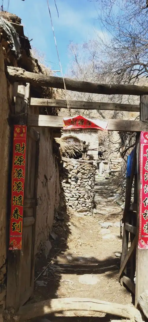 2000_4335竖版 竖屏