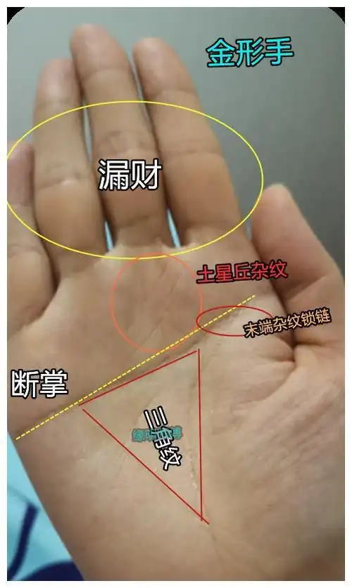 注定富贵的六种手纹手相断掌男