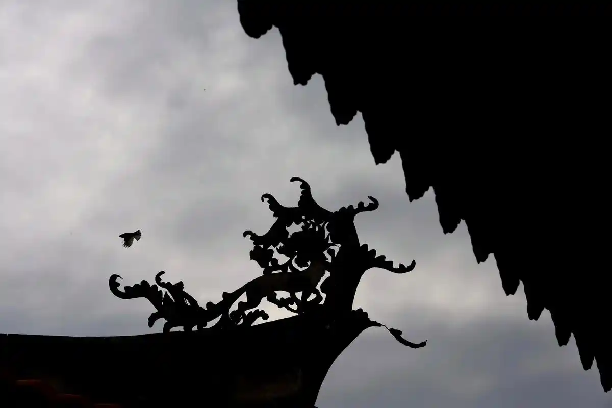 屋檐剪影 #一张照片形容我的今天 #我看到的vs我拍到的 # - 抖音