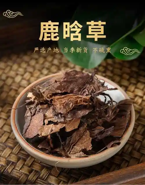 鹿晗草鹿衔草500克蹄草鹿含草鹿鹿衔草500克