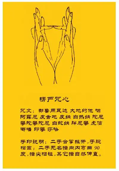 假如说我不诵楞严咒我诵楞严咒心可以吗