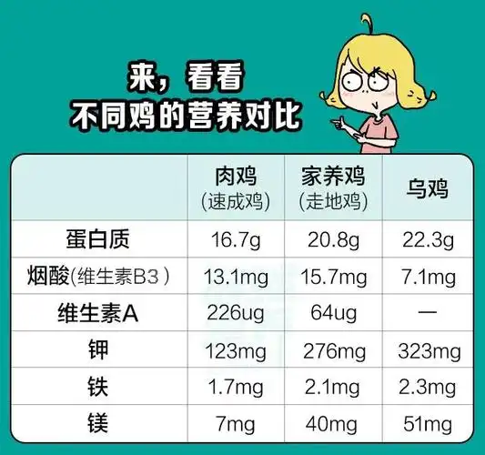 乌鸡略低一些,实际上这点营养差异,多吃几口鸡肉就能补回来