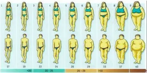 赖床让你更易胖!