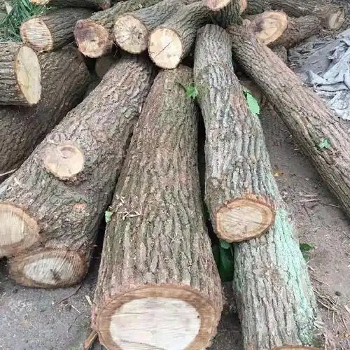 森培 供应 青冈木青杠木板材原木