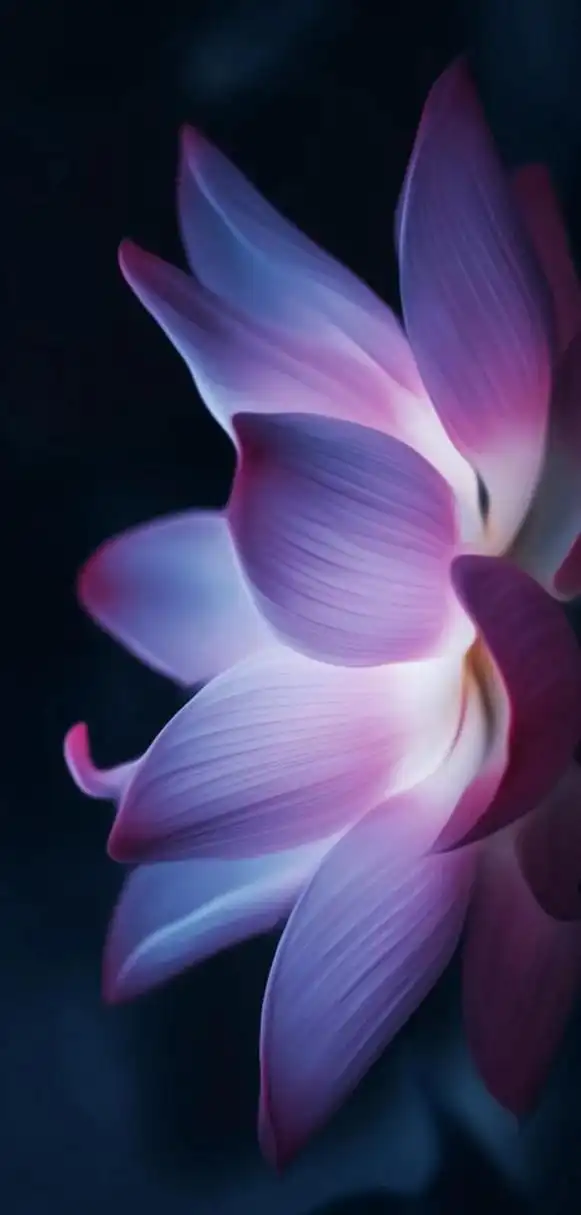 612_1280竖版 竖屏