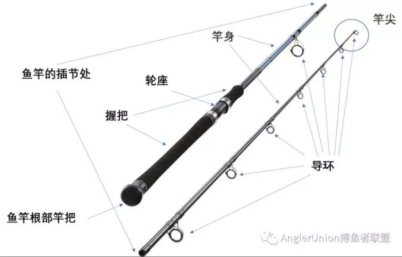 怎样挑选鱼竿教你如何选择适合的鱼竿路亚竿海钓竿如何选择看完你就