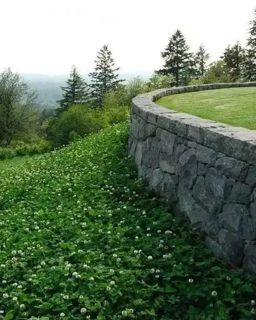 干货 | 130p · 挡土墙景观在进行挡土墙设计之前,我们需认真思考