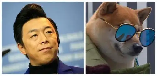 4,黄渤vs柴犬 两者都不是靠颜值吃饭的,至今还记得黄渤在极限挑战里对