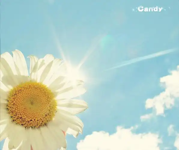 阳光如你般美好~-堆糖,美好生活研究所