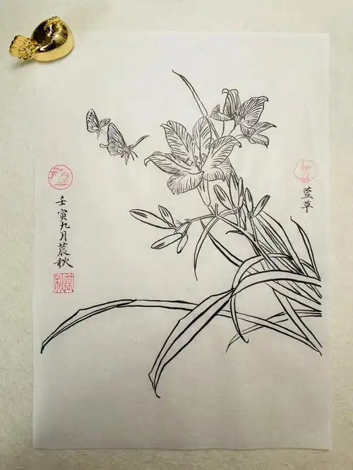 第一次白描小画儿萱草好送给大家