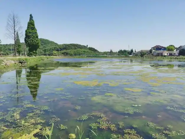 松江启动这一全市试点,打造有"颜"又有"料"的特色乡村|江南|松江区