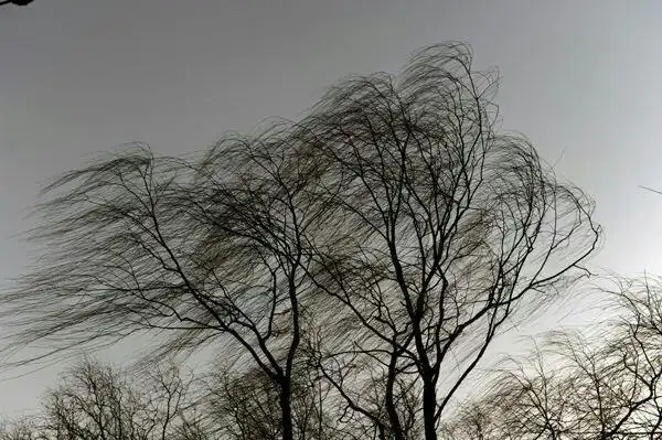 刮风时为什么会发出"嗖嗖"的声响?