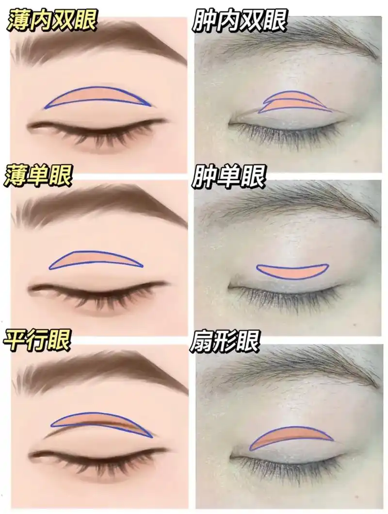 抖音图文来了 还不会贴双眼皮的姐妹们看过来,实用的不同眼型 - 抖