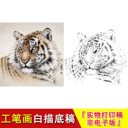 老虎头工笔画白描底稿小品斗方动物国画临摹素材大幅练习起稿wh14