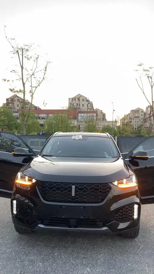 保养的爱惜 全程4s保养 原版车况一台#魏派vv6  #魏派汽车  #长城魏派