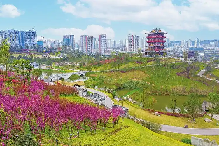 百花斗艳_轮播头条_图片头条_头条_新闻_大足网