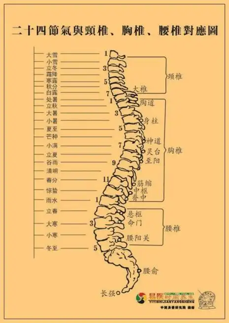 天人合一:二十四节气与人体二十四节脊椎的对应关系