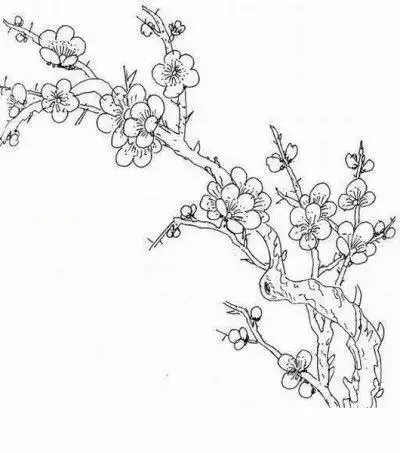 一组漂亮的大树简笔画图片桃花树的简笔画 桃花树的简笔画报桃花树