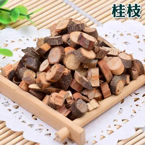 桂枝的功效与作用