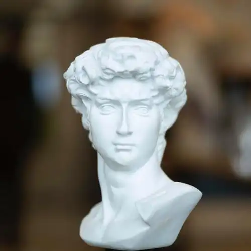 张庸白 的想法: 「摄影角度分享」 | 一组不同角度的「大卫」石膏头像