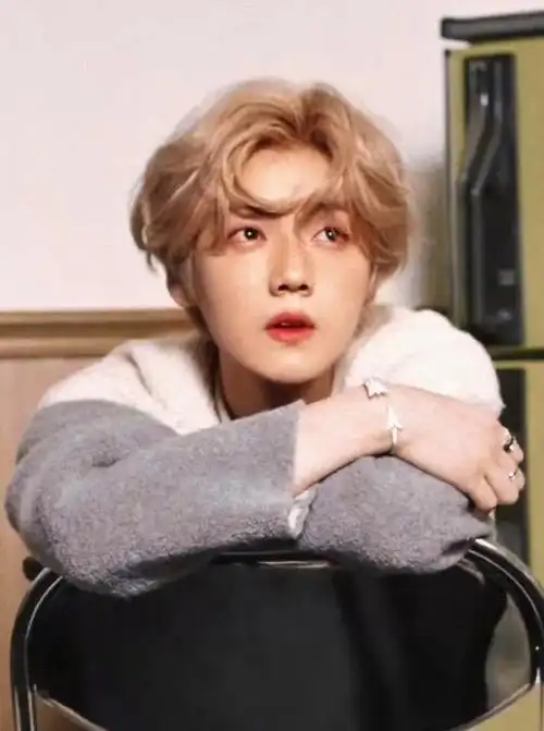 鹿晗,1990年4月20日出生.2008年,成为韩国sm娱乐旗下练习生.