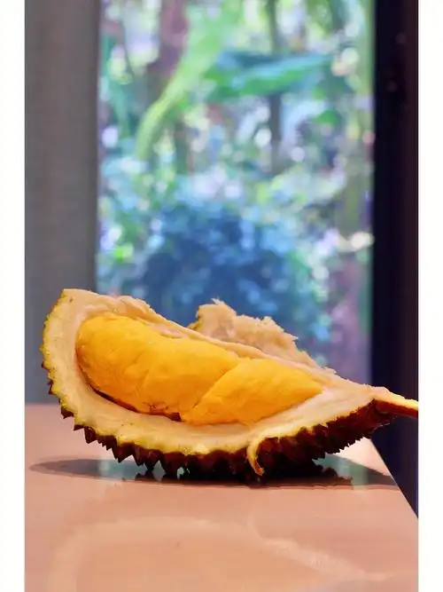 报恩榴莲六房猫山王