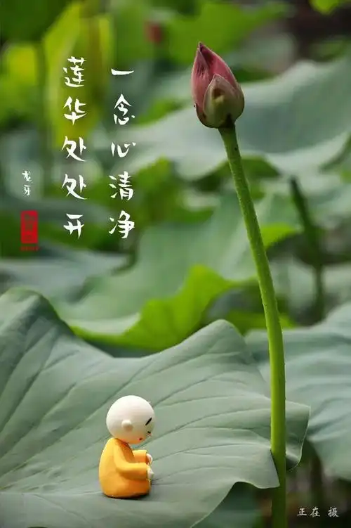 一念心清净,莲华处处开.