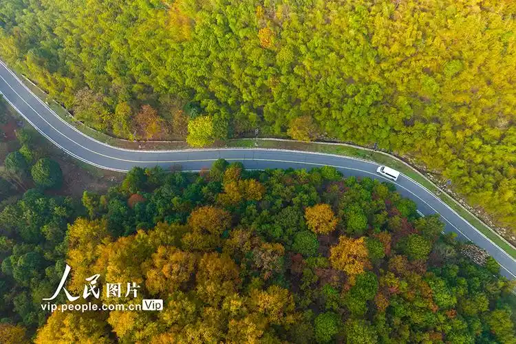 江苏南京无想山风景区冬景如画
