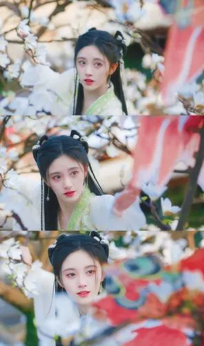 如意芳霏/傅容.